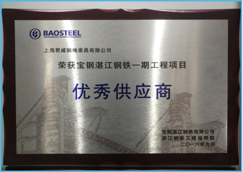 宝钢优异供应商