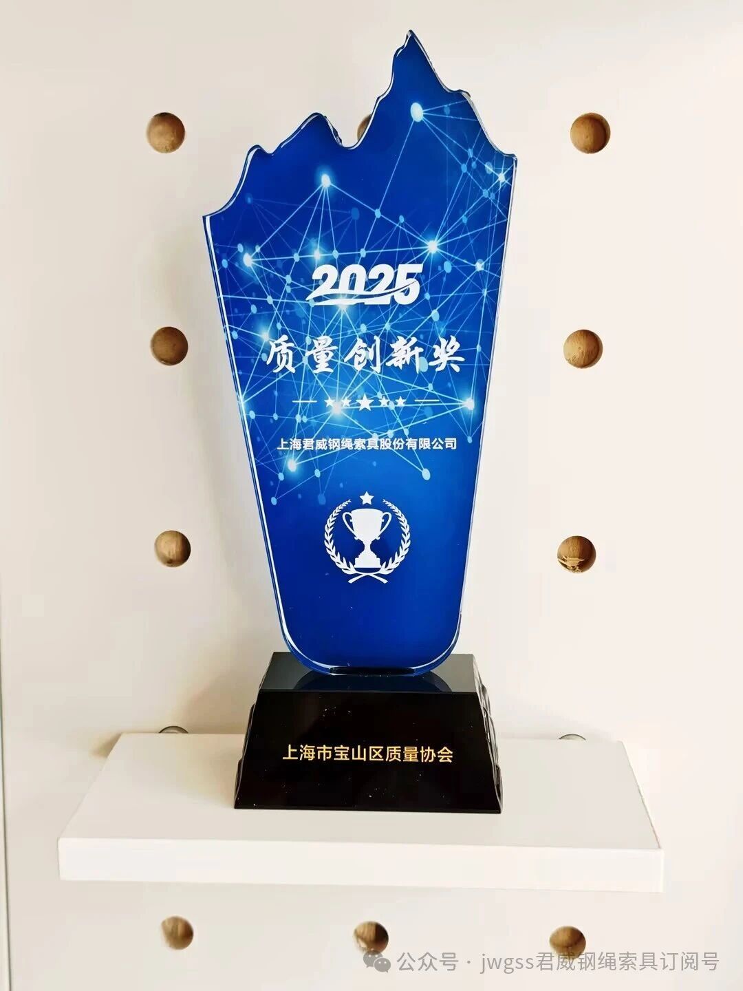 2025 质量立异奖